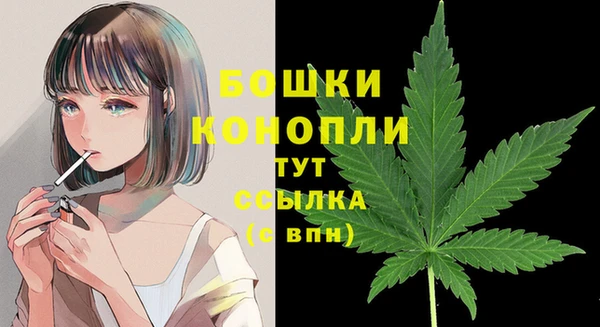 метадон Богородицк