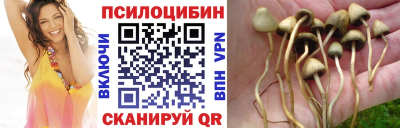 Галлюциногенные грибы Cubensis  Красногорск 